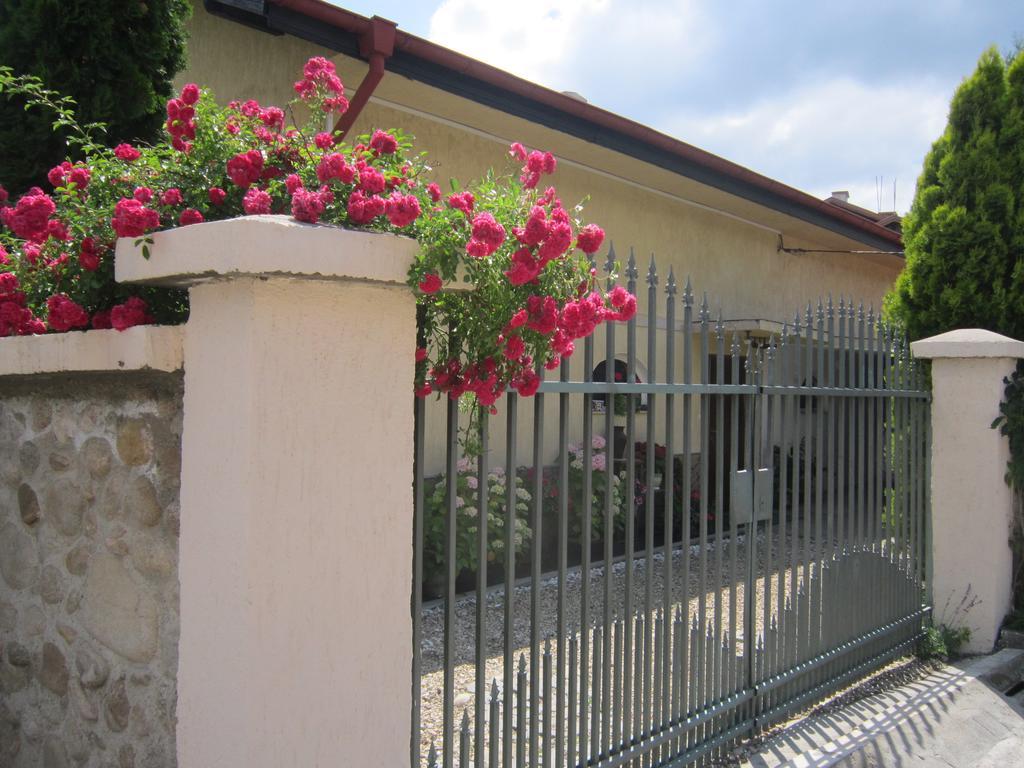 Guest House Bankja Zewnętrze zdjęcie