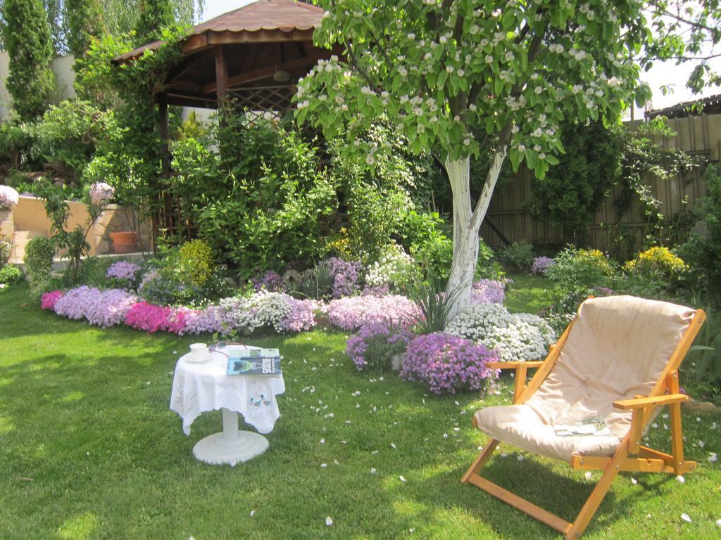 Guest House Bankja Zewnętrze zdjęcie